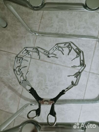 Строгий ошейник