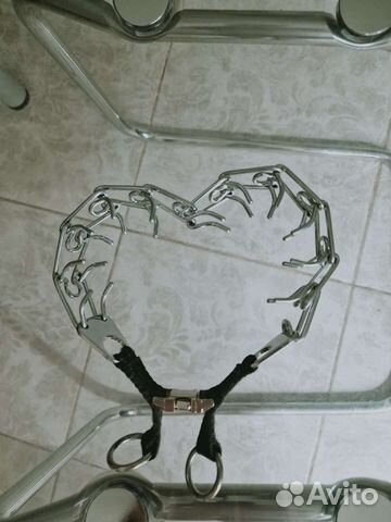 Строгий ошейник