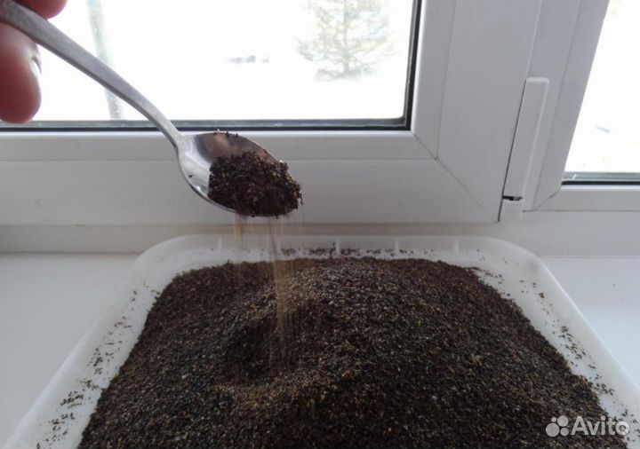 Продукт жизнедеятельности личинок восковой моли