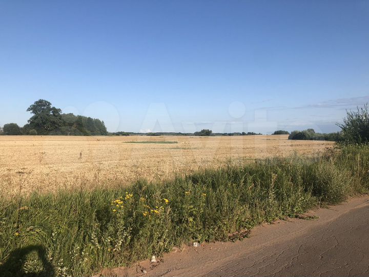 Участок 38,4 га (ИЖС)