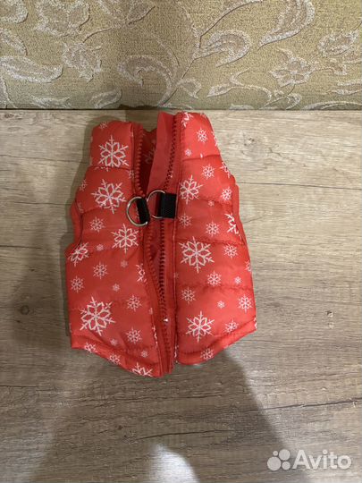 Жилет для маленькой собачки