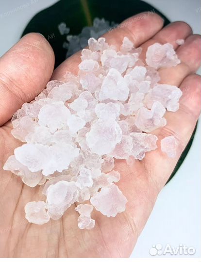 Индийский морской рис