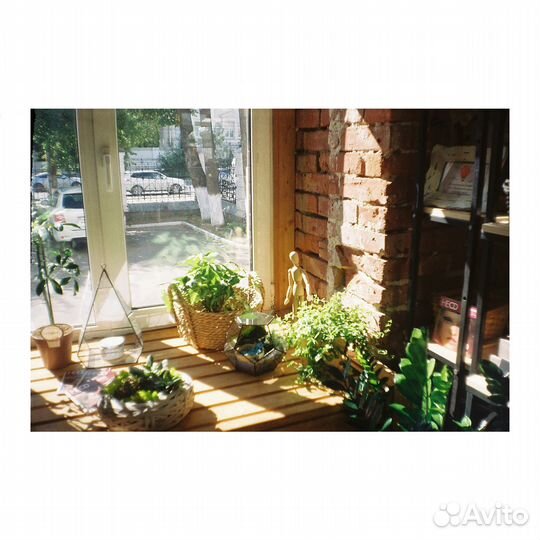 Плёночный фотоаппарат Olympus Trip XB3