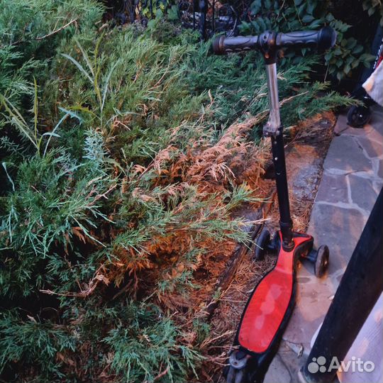 Самокат детский трехколесный