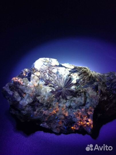 Лапрофиллит, эвдиалит, гакманит. Ловозеро