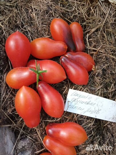 Семена томатов коллекционные