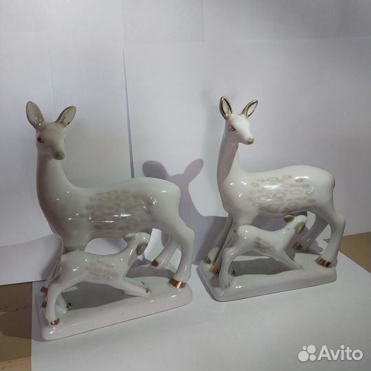 Олениха с олененком