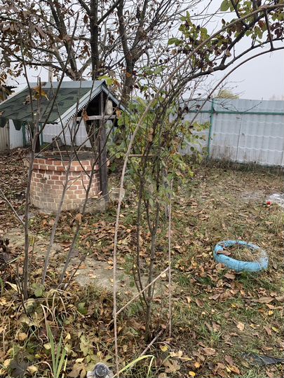 Дача 70 м² на участке 6 сот.