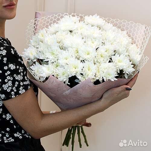 Хризантемы на букет