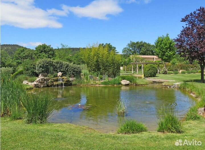 Пруд/водоём