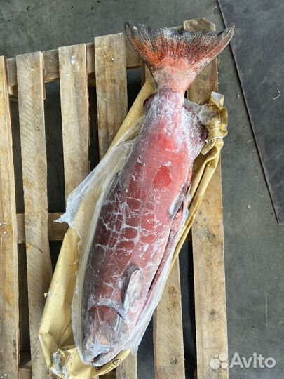 Рыба чавыча сëмга нерка кижуч горбуша икра красная