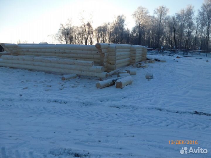 Срубы Без Посредников