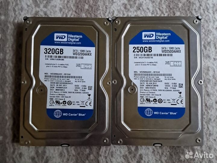 Жесткий диск WD 250Gb