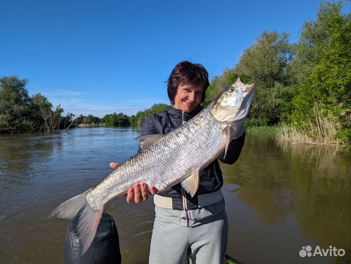 Рыбалка с гидом в Астрахани (услуги егеря)