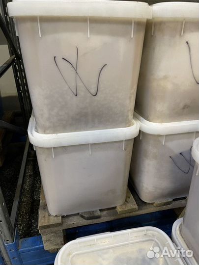 Мёд с Алтая