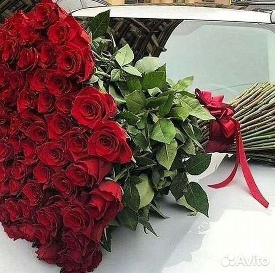 Высокие розы Гигантские розы 110