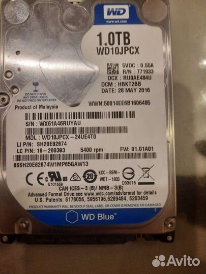 Жесткий диск 1 тб wd blue