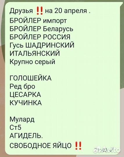 Инкубационное яйцо на 7 июля. яйцо бройлера