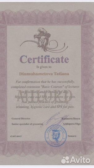 Груминг шпица