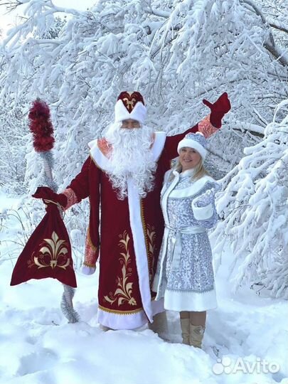 Дед мороз и снегурочка на дом