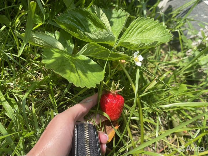 Мастер Фен-шуй. Подбор правильной недвижимости