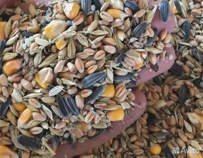 Зерносмесь для кур