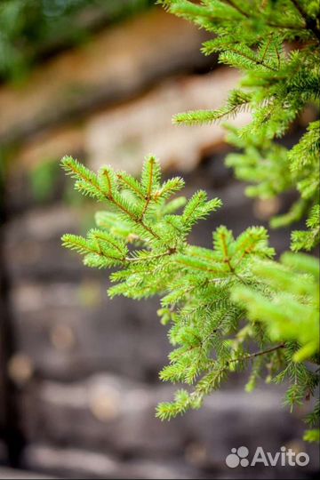 Объектив Meke 85 mm/1.8 автофокус