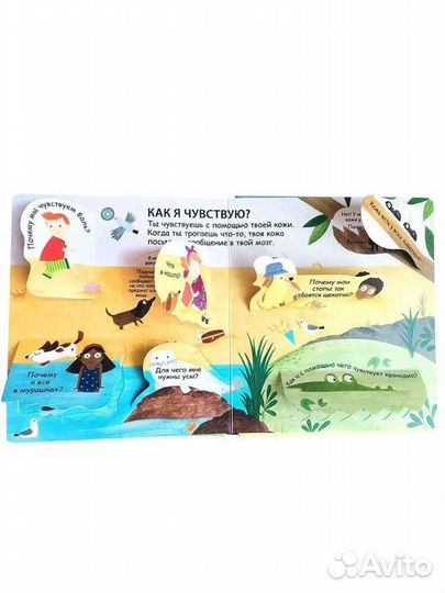 Книга с окошками