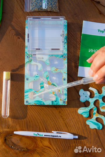 Муравьиная ферма