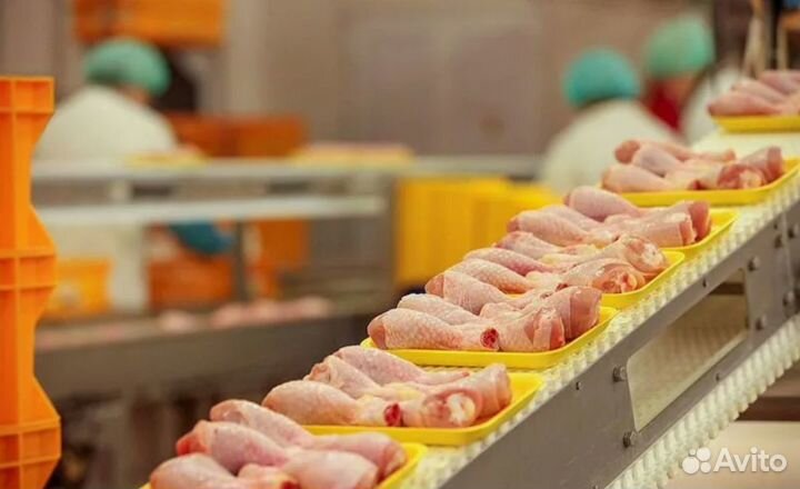 Упаковщик куриных лап Вахта СПб, Великий Новгород