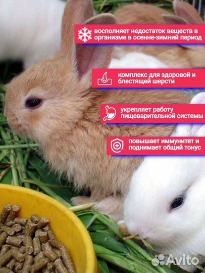 Корм для грызунов хомяков крыс, люцерна гранулы