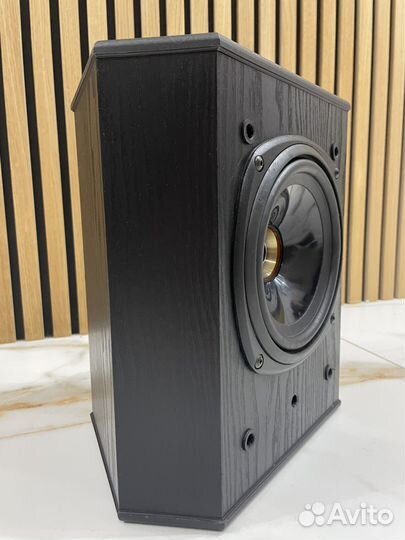 Центральный канал Tannoy 623