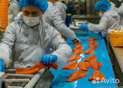 Разнорабочий