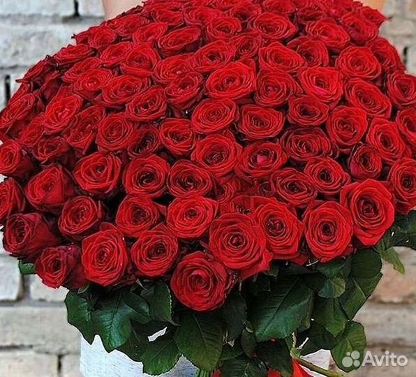 Высокие розы 150 160 170 180 190см доставка Москва
