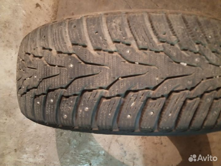 Debica Frigo Directional 205/55 R16 и 205/55 R16