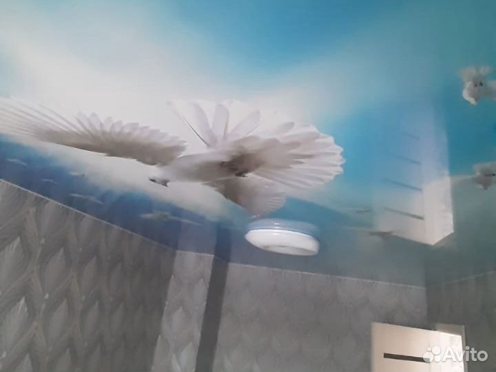 Натяжные потолки без пыли и грязи