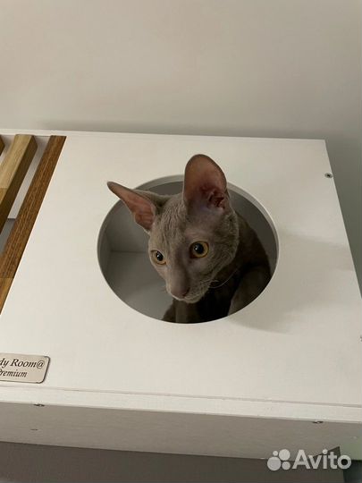 Домик комплекс для кошек