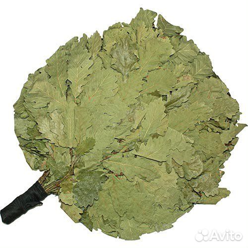 Дубовые веники для бани