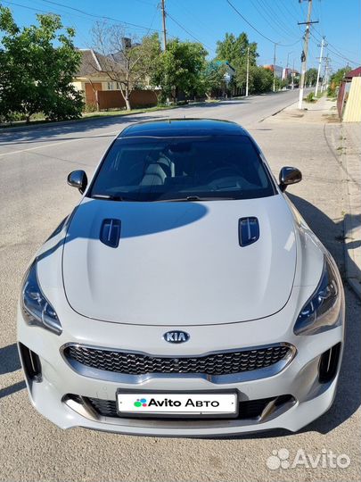 Kia Stinger 2.0 AT, 2019, 130 500 км