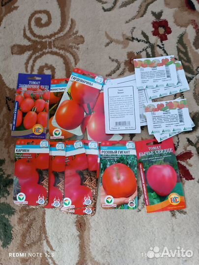 Рассада помидоров томатов