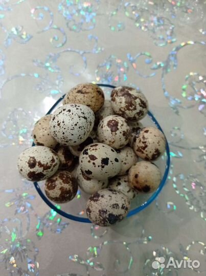 Яйцо перепелиное