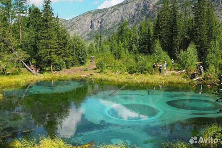 Тур на Алтай