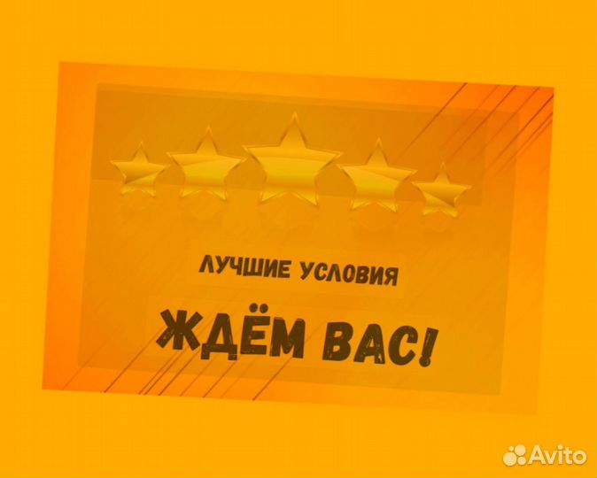 Наборщик заказов Без опыта Еженедельные выплаты