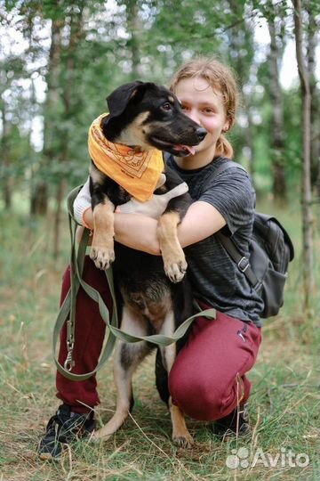 Маленькая собака щенок бесплатно из приюта