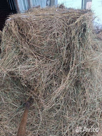 Продам сено в рулонах