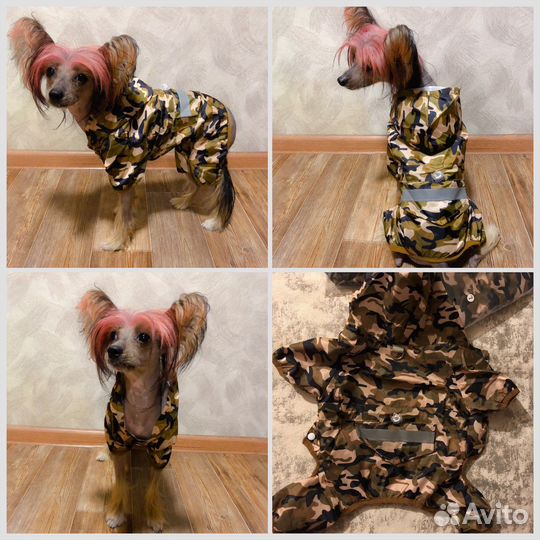 Одежда жля собак