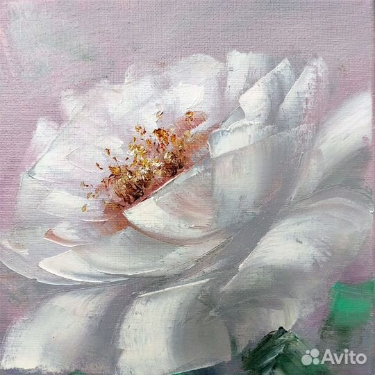 Картина Маслом Пион, 20 х 30 см, Холст