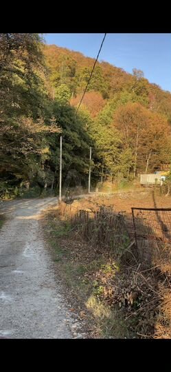 Участок 6 сот. (СНТ, ДНП)