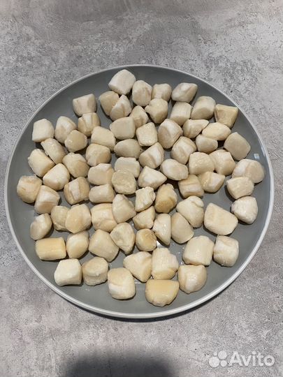 Морской гребешок