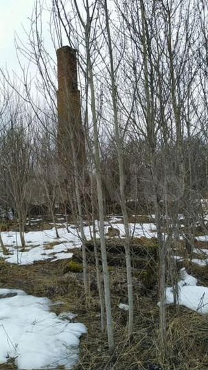 Участок 7,6 га (СНТ, ДНП)